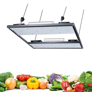 Brazil Stock Lm301H Lm301B Indoor 240W <strong>Led</strong> Grow Light Wholesale 660Nm Hydroponics <strong>Led</strong> Grow Light - Product Image 5