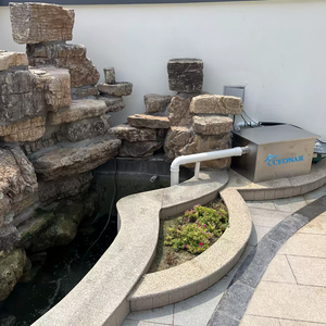 CEONAR不锈钢全池塘过滤器，带紫外线澄清池