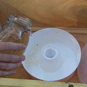 Dụng Cụ Nuôi Ong Dụng Cụ Nuôi Ong Dụng Cụ Nuôi Ong Bằng Nhựa Abs Dụng Cụ Nuôi Ong Dụng Cụ Nuôi Ong Đầu Dụng Cụ Nuôi Ong Chèn 10 Khung - Product Image 4