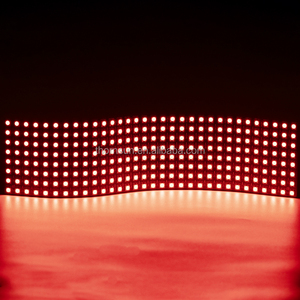 Flexible P10 <strong>Raspberry</strong> <strong>Pi</strong> Ws2812b 8x32 Led matrix <strong>Display</strong> for Advertising Screen - Product Image 4