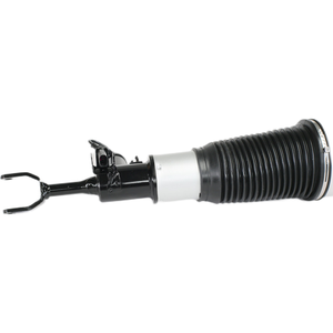 Audi A6 A6L 4F C6 için üretici yepyeni 2005-2011 hava bahar Damper ön sağ 4F0616040J 4F0616040 - Product Image 5
