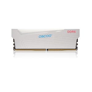 DDR5 RGB RAM 16GB 32GB memoria 5200MHz 5600MHz 6000MHz RGB moduli UDIMM DDR per Gaming PC Desktop On-die ECC