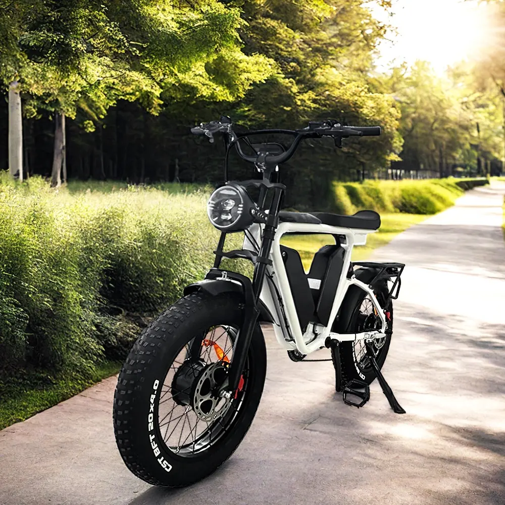 Yeasion 2024 elektrikli yağ Enduro bisikletleri 52V çift pil 2000W çift motorlu elektrikli dağ bisikleti ile disk fren için avustralya