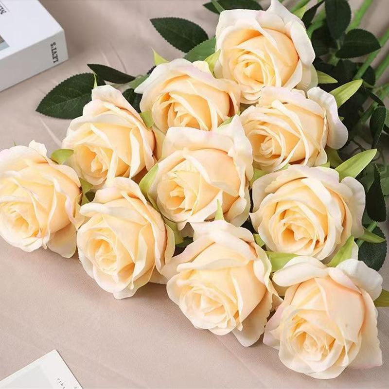 Couleur rose-champagne soleil unique