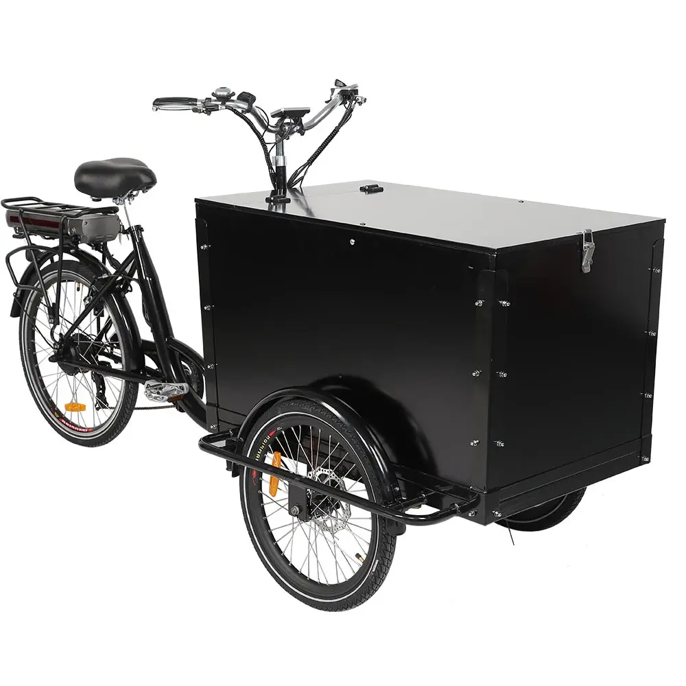 KUAKE yeni stil 250W ön yükleme hollandalı kargo ebike bisiklet 3 tekerlekli aile kargo bisiklet elektrikli teslimat