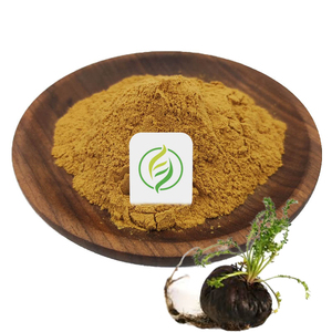 批发厂家植物提取物玛咖提取物黑玛咖粉提取物玛咖根粉 - Product Image 1