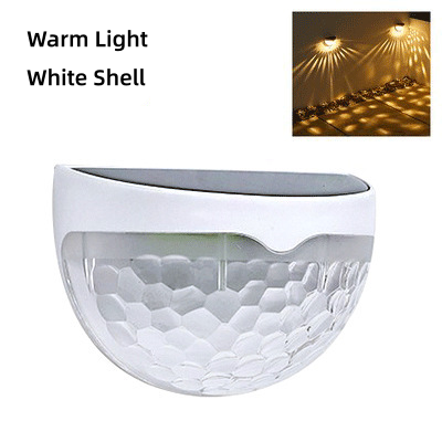 White Shell+ Warm Light
