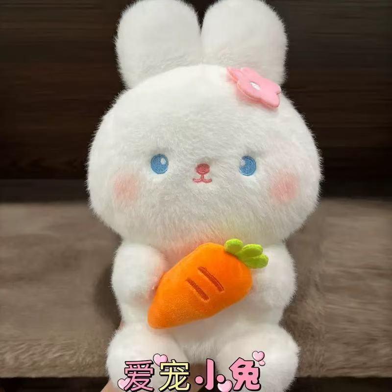 J'adore les lapins de compagnie.