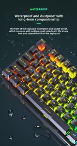 New Arrivals LED <strong>Keyboard</strong> and <strong>Mouse</strong> Combo Wired Backlit Teclado Desktop Gaming <strong>Keyboard</strong> for PC <strong>Computer</strong> - Product Image 5