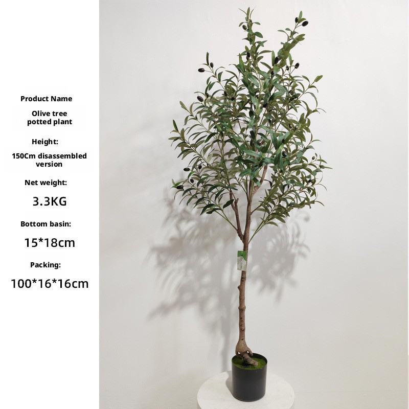 150cm Olive Tree (Detachable Version)