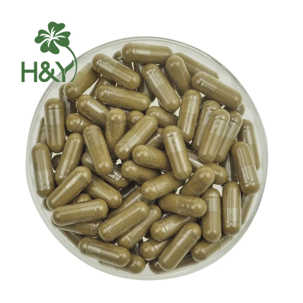 Lions mane capsules Lion's mane mushroom extract Lions Mane Extract Powder 665mg in stock