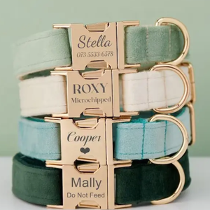 Usine Populaire Couleurs Personnalisées Logo Collier De Chien Boucle En Métal Velours Collier De Chien Personnalisé - Product Image 5