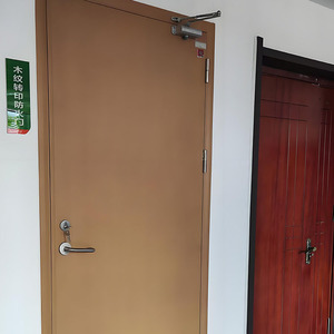 Factory Customized Modern ISO Entrance Pivot Steel <strong>Doors</strong> Double Gate Design with Powder Coat for Entry Application - Product Image 4