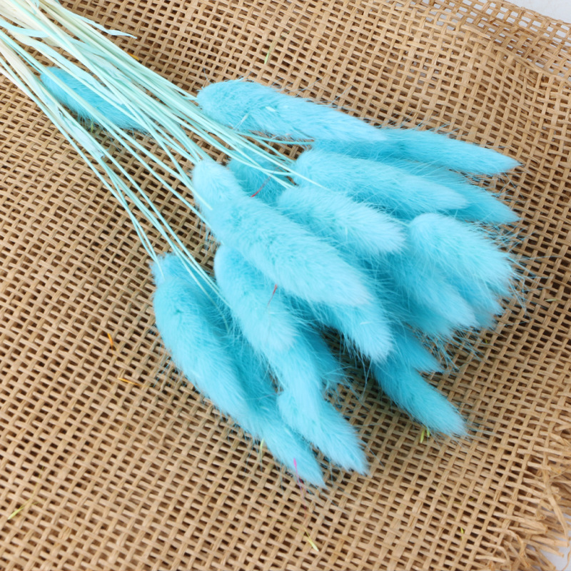 Bleu (env.30 pièces)