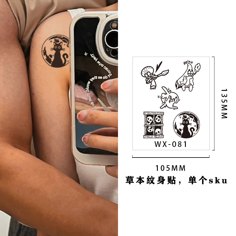 WX-81