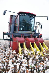 Giao Hàng Nhanh Bông Harvester 3 Chọn Đầu Máy Móc Nông Nghiệp Trong Kazakhstan - Product Image 4