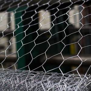 Galvanized Steel <strong>Hexagonal</strong> Wire Mesh for Chicken <strong>Rabbit</strong> Dog Farm Fence PVC Coated Iron <strong>Netting</strong> - Product Image 1
