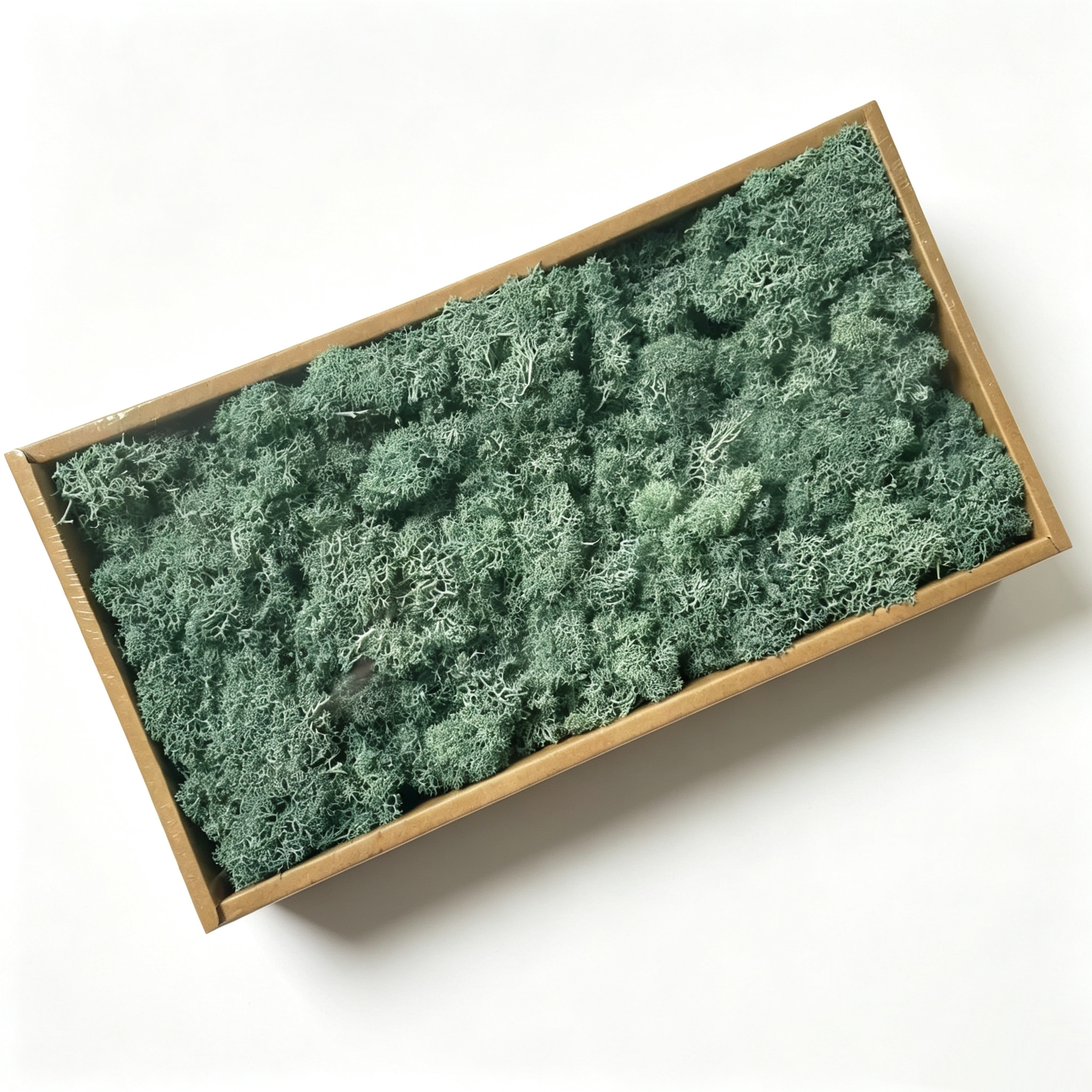 Verde grigio