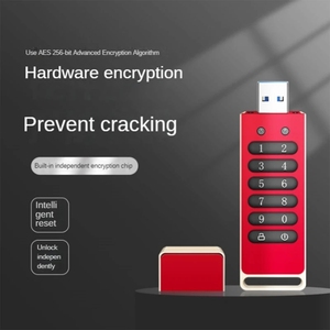 Sicheres Flash-Laufwerk mit automatischer Sperr funktion AES256-bit Hardware-Passwort verschlüsselt USB-Speichers tick