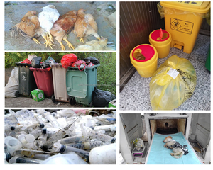 2024高温耐火砖设计焚烧炉Insinerator Harga，Harga焚烧炉Sampah - Product Image 5