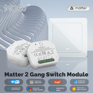 Materia 10A Smart Wifi Switch modulo di controllo remoto Wireless tramite eWelink Alexa Google Zigbee materia di rete compatibile - Product Image 2