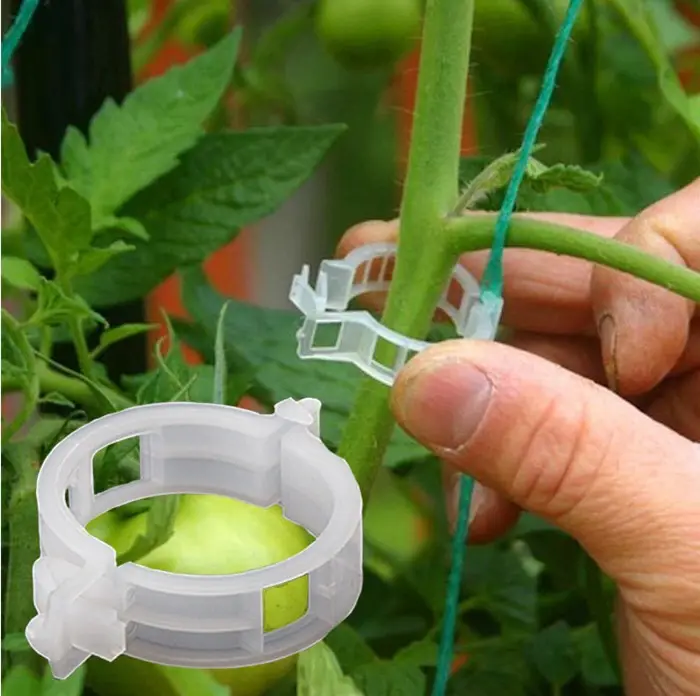 Clips de plástico para plantas, herramienta de fijación para injerto, protección reutilizable, suministros de jardinería para verduras y tomate, 50 Uds.