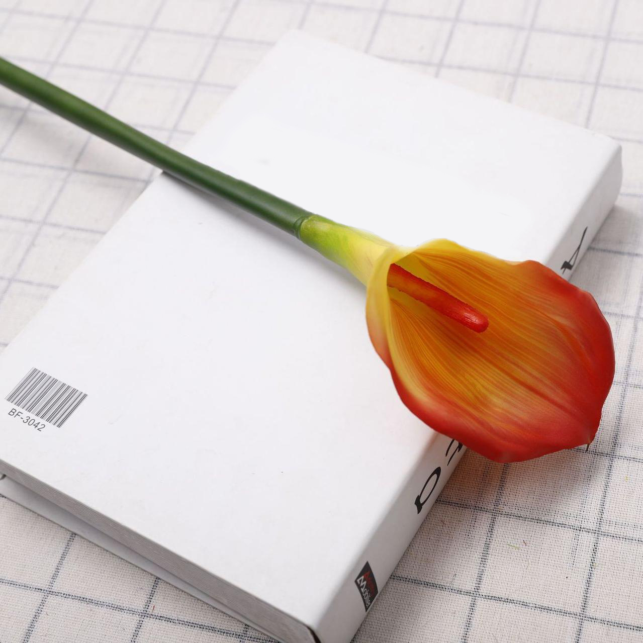 พระอาทิตย์ตกสีแดง