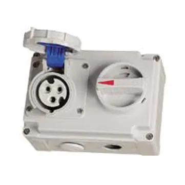 IEC/CEE Industrial IP67 Earth Safety Interlock Switch With Guard Locking