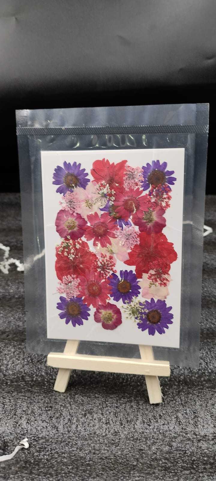 Multi
