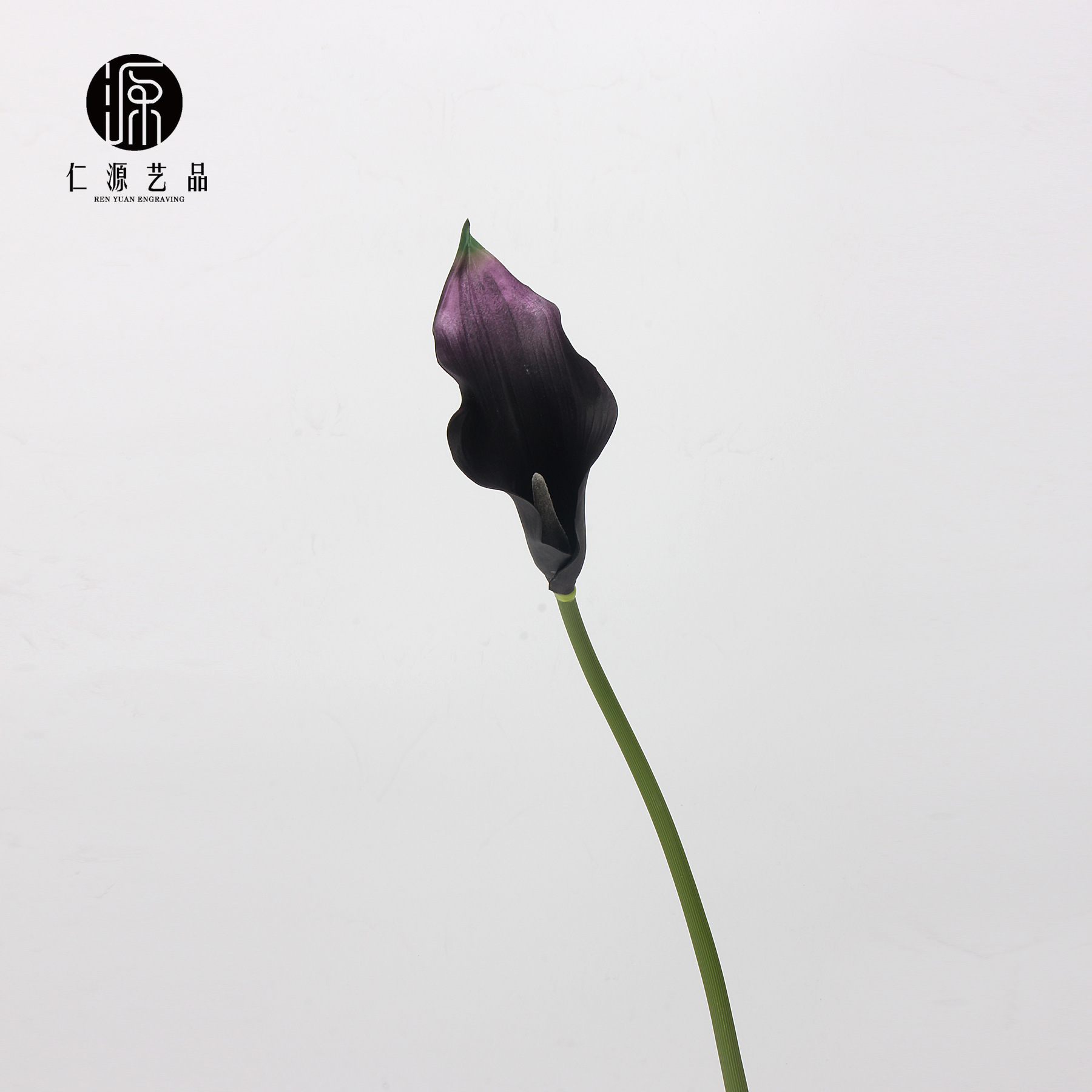Black and purple - Large