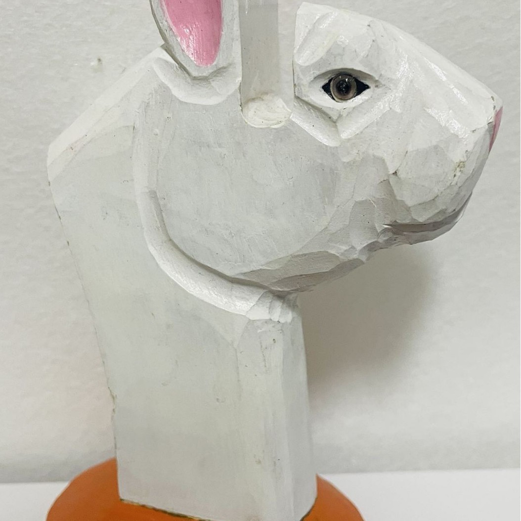 Lapin blanc