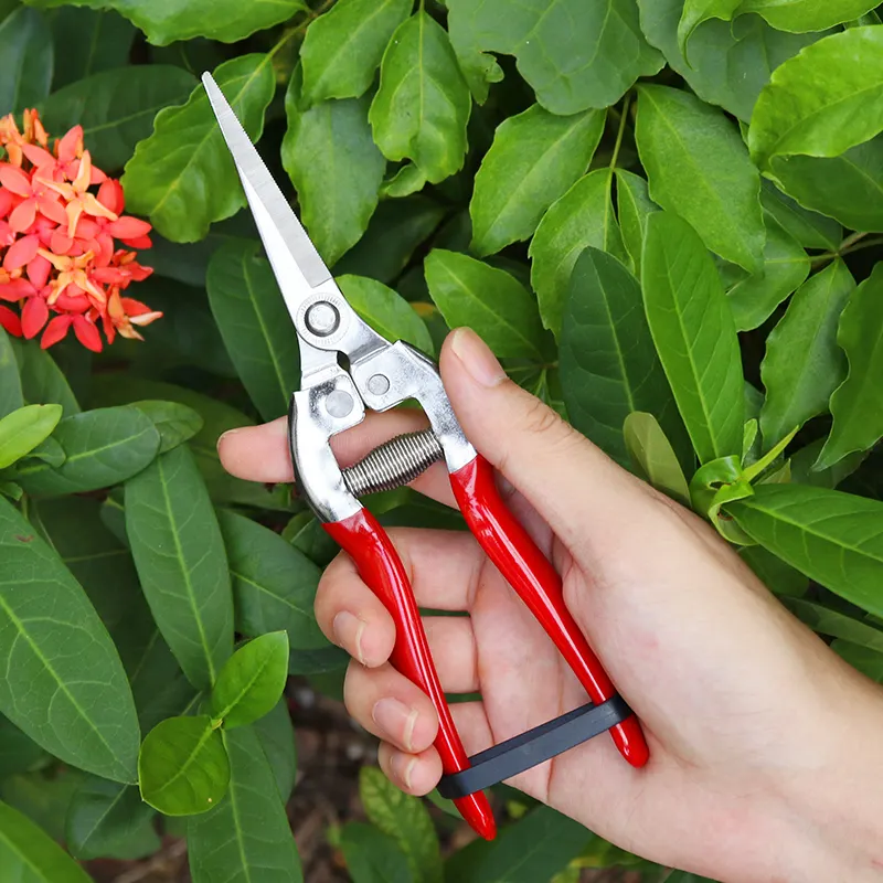 Tijeras de podar de acero para jardín, podadora telescópica recta para árboles, bonsái, herramientas de mano para jardín, injerto