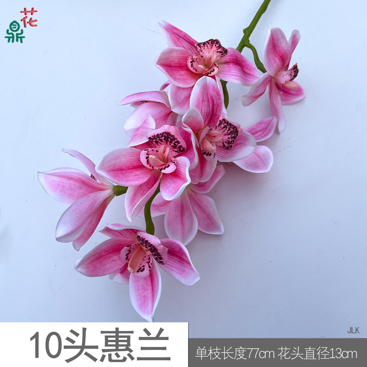 10 orchidées Cymbidium, JLK, rose foncé