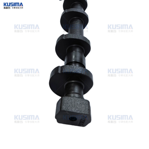 BMW için dayanıklı motor parçaları eksantrik mili için BMW 135i 335i 435i X1 X3 X5 N55 N55B30 3.0L OE 11377589883