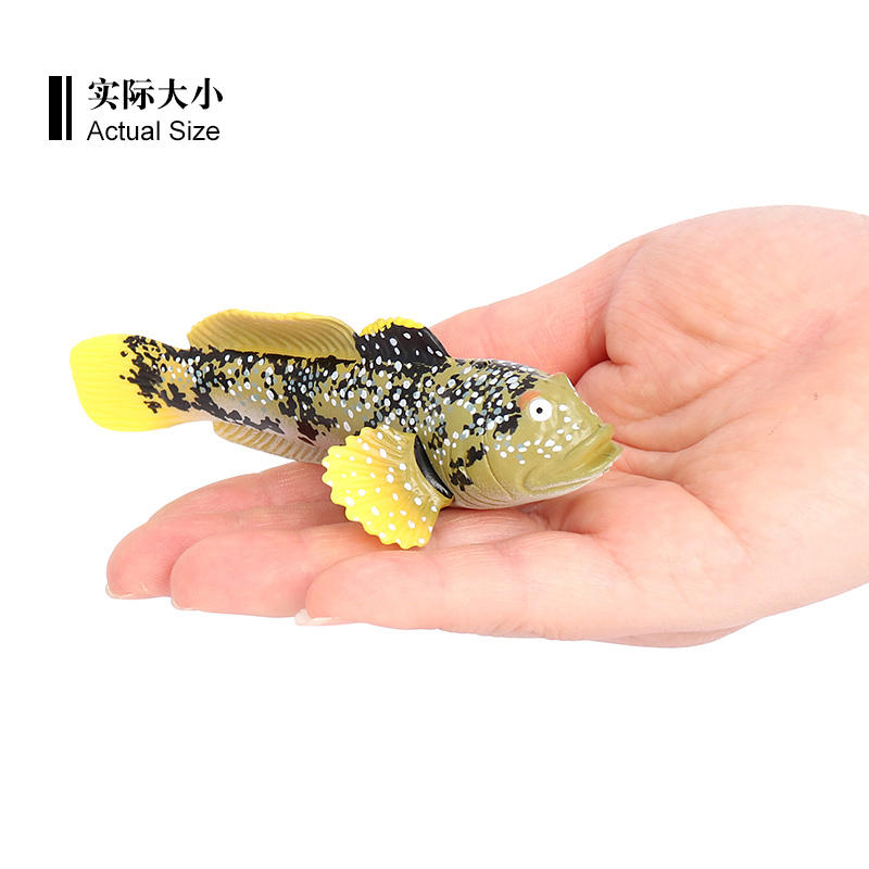 1853 Shuttles hoppfish Mudskipper