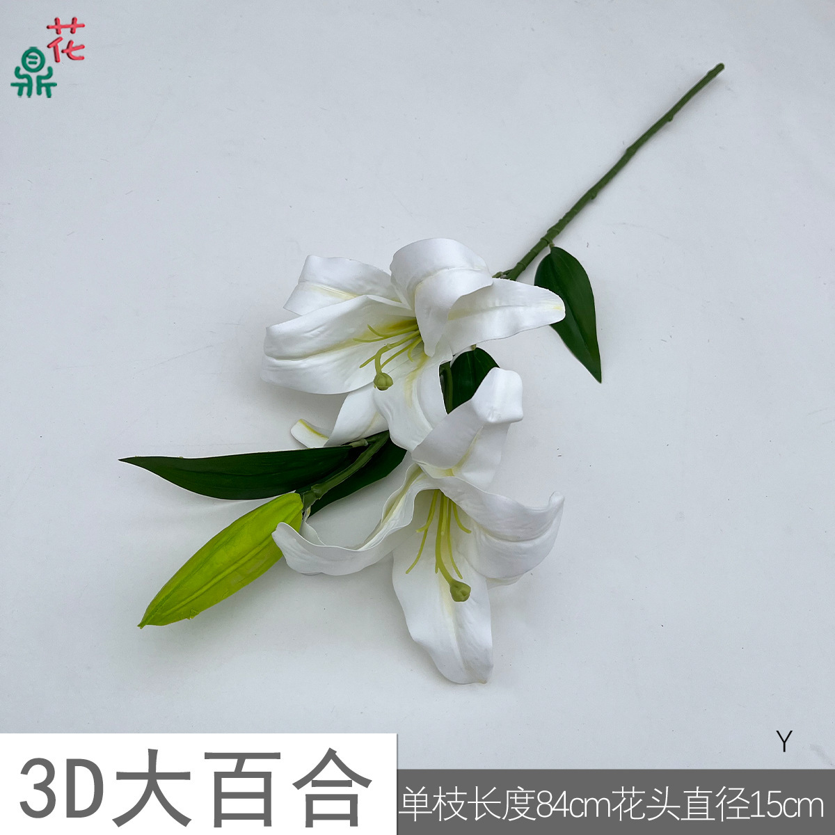 Lys 3D Y blanc