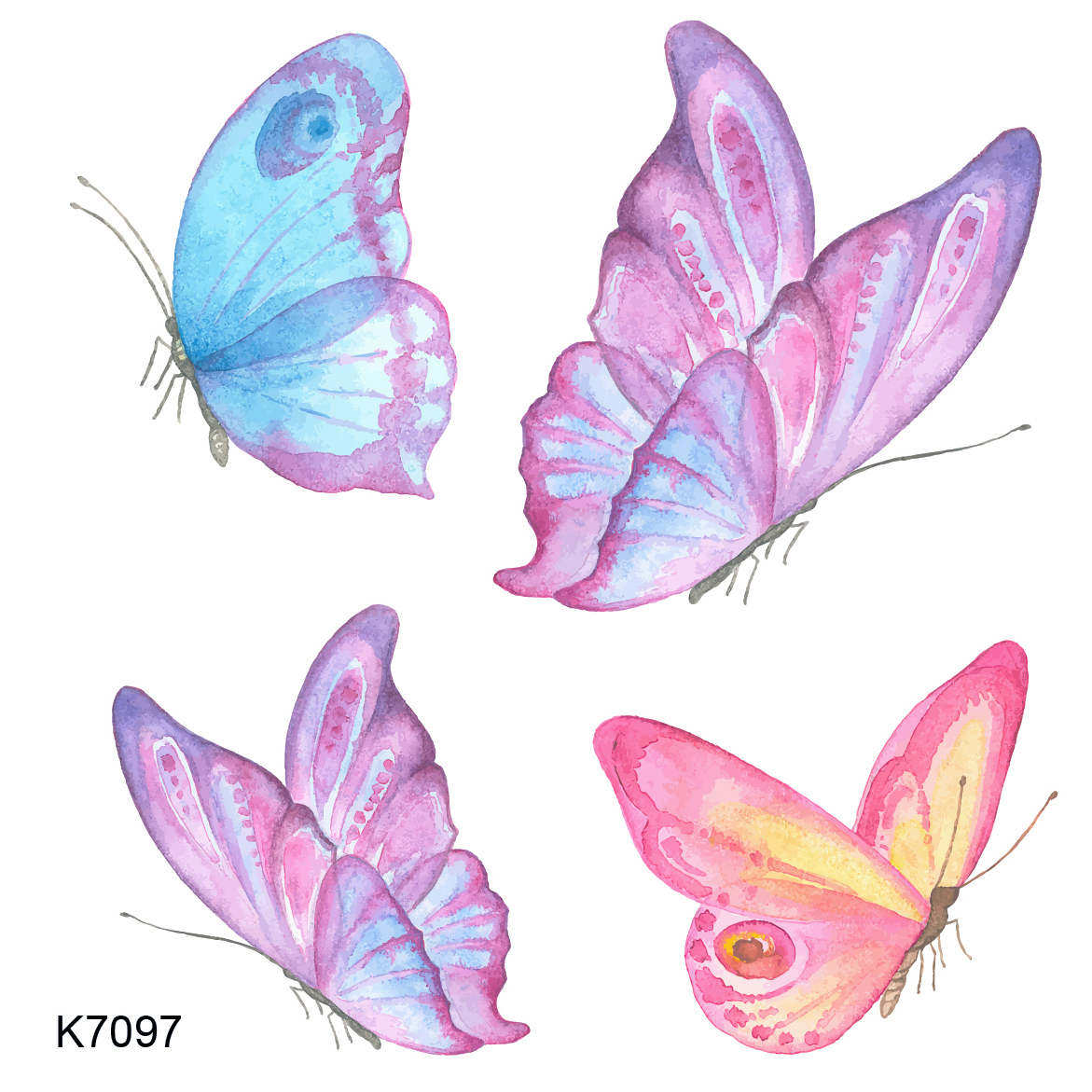 K7097