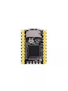Factory Supply LuckFox RV1103 <strong>Pico</strong> Mini A <strong>Pico</strong> Mini B Linux AI Development Board RISC-V Architecture 128MB Capacity - Product Image 3