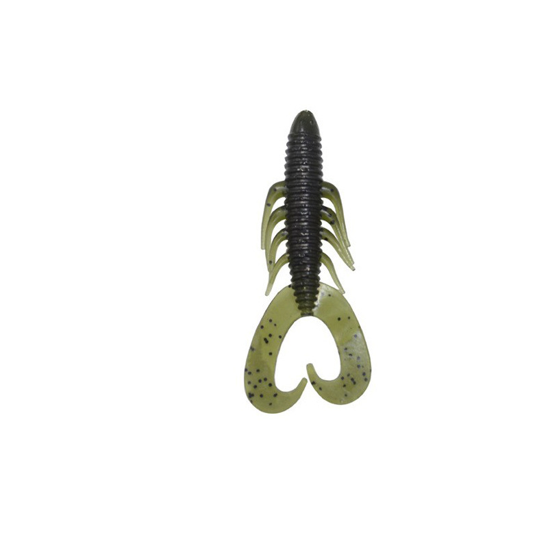 Bande simple de polypodes verts