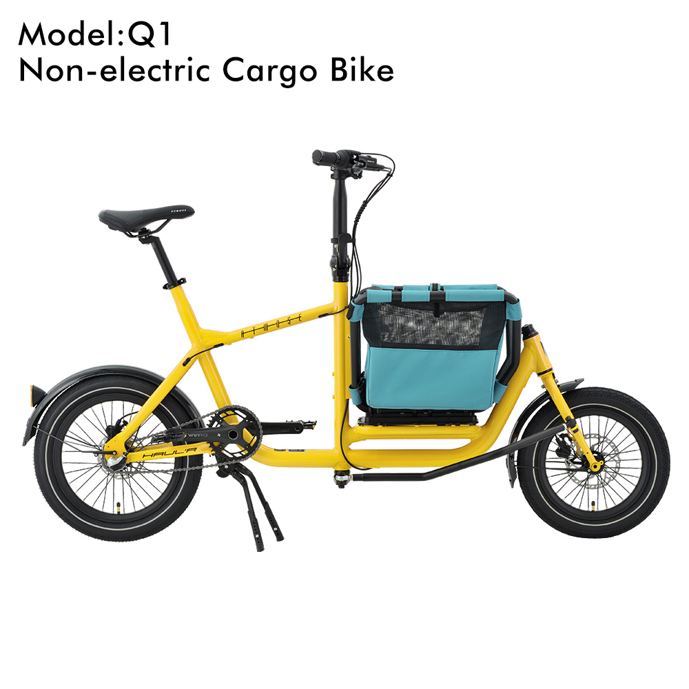 Q1_Jaune