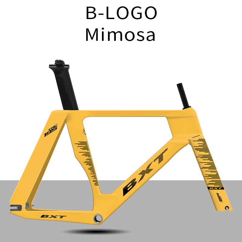 BXT Mimosa yellow-B