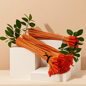 Cold Pyro <strong>Special</strong> Effects 0.5 Metre Wire Electric <strong>Match</strong> Kit - Product Image 1