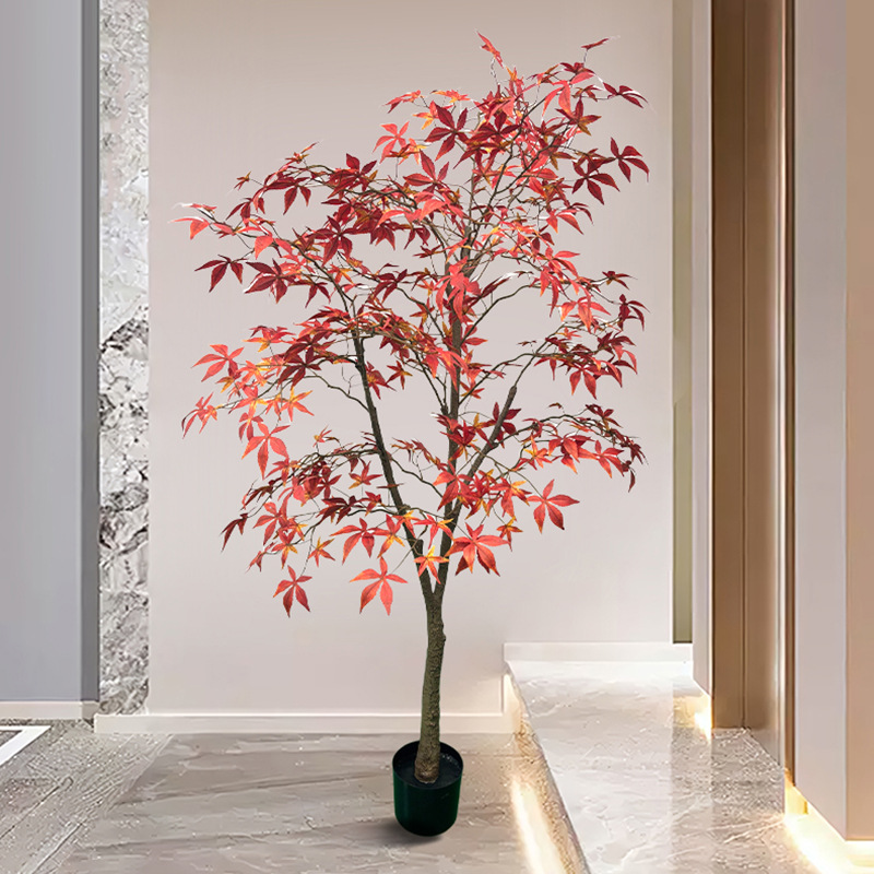 Arce 1-h180cm