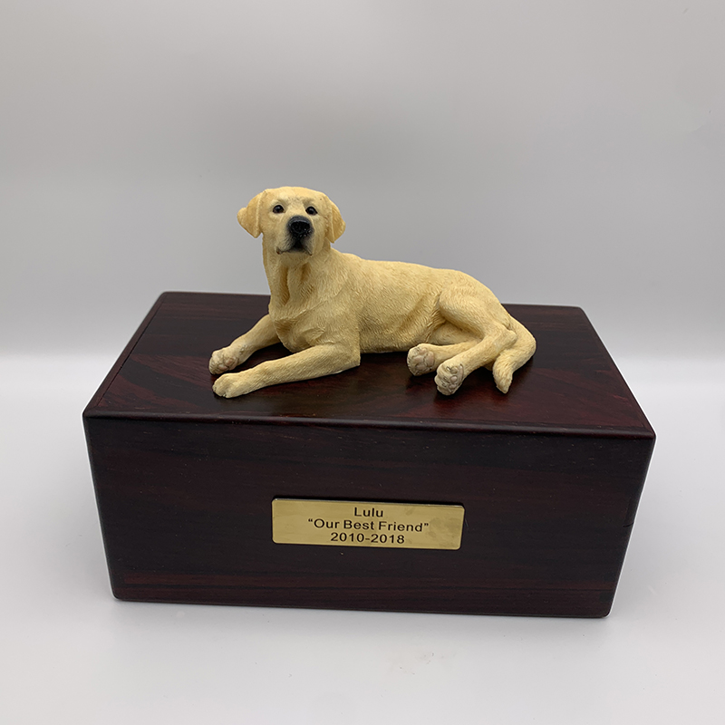 Labrador