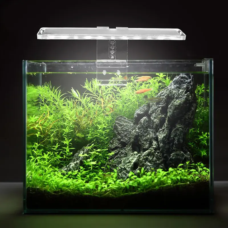 Aquarium LED-Licht Aquarium Halterung Licht Reptilien Fütterung koffer liefert LED-Licht mit Clip