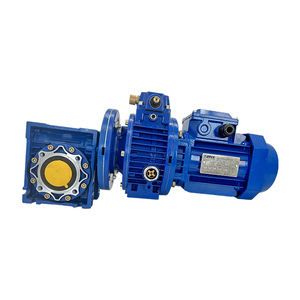 带有0.18kw三相电动机和NMRV040蜗杆减速器的UDL002机械变速器 - Product Image 5