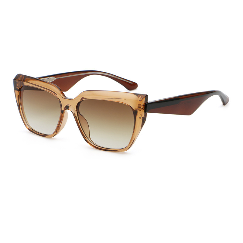 Cadre à thé transparent C6Double lentille à thé