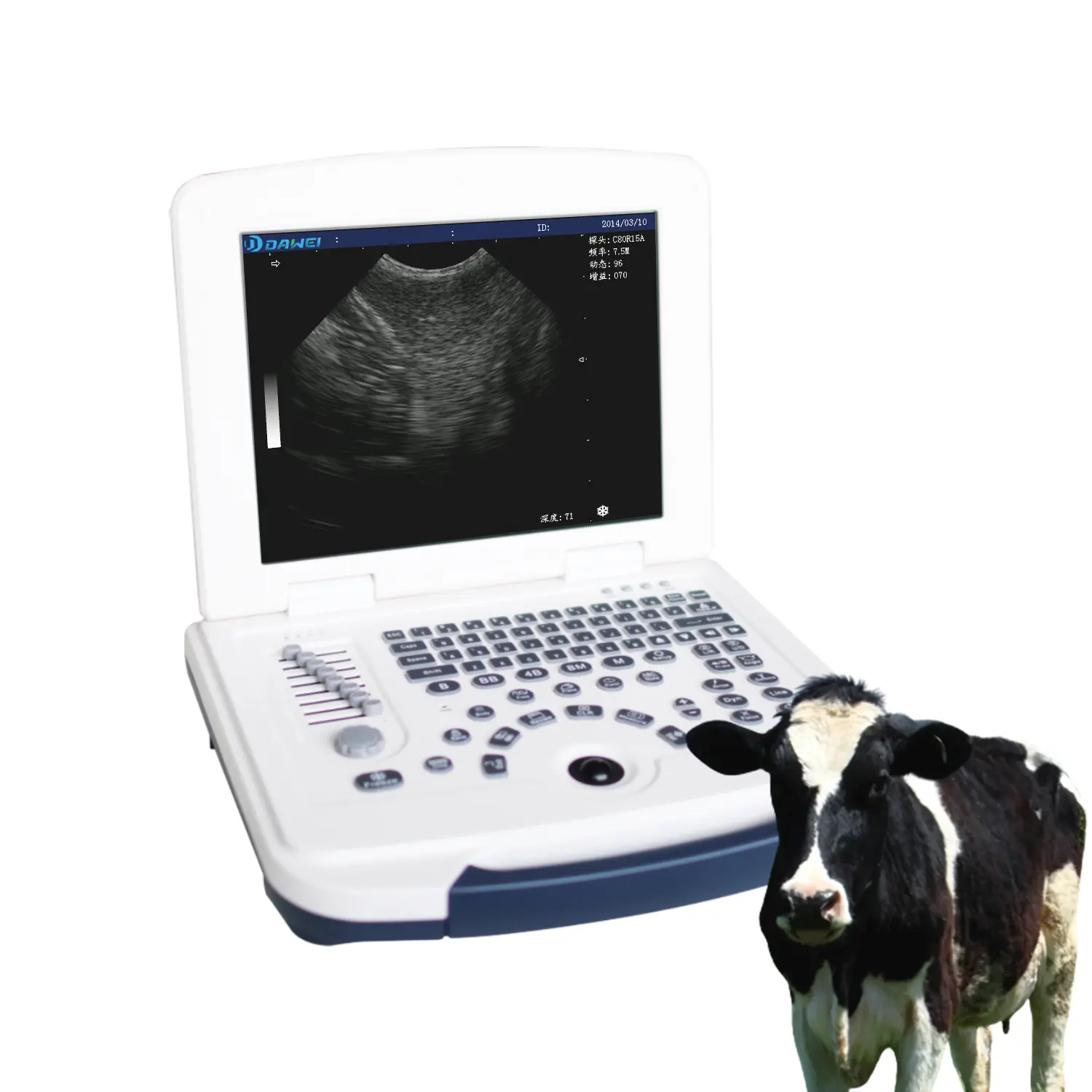 Ziekenhuis Draagbare Kleur Doppler Ecograph Beste Prijs 3D 4D Veterinaire Draagbare Kleur Doppler Echografie