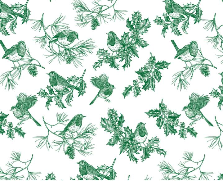 FLY-JDSD-HN-GREEN