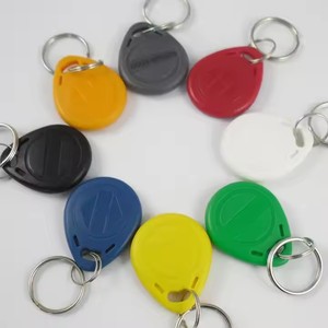 13.56Mhz ABS riscrivibile Smart RFID portachiavi etichette e etichette EM4305 per sistemi di controllo accessi Multi-Scenario